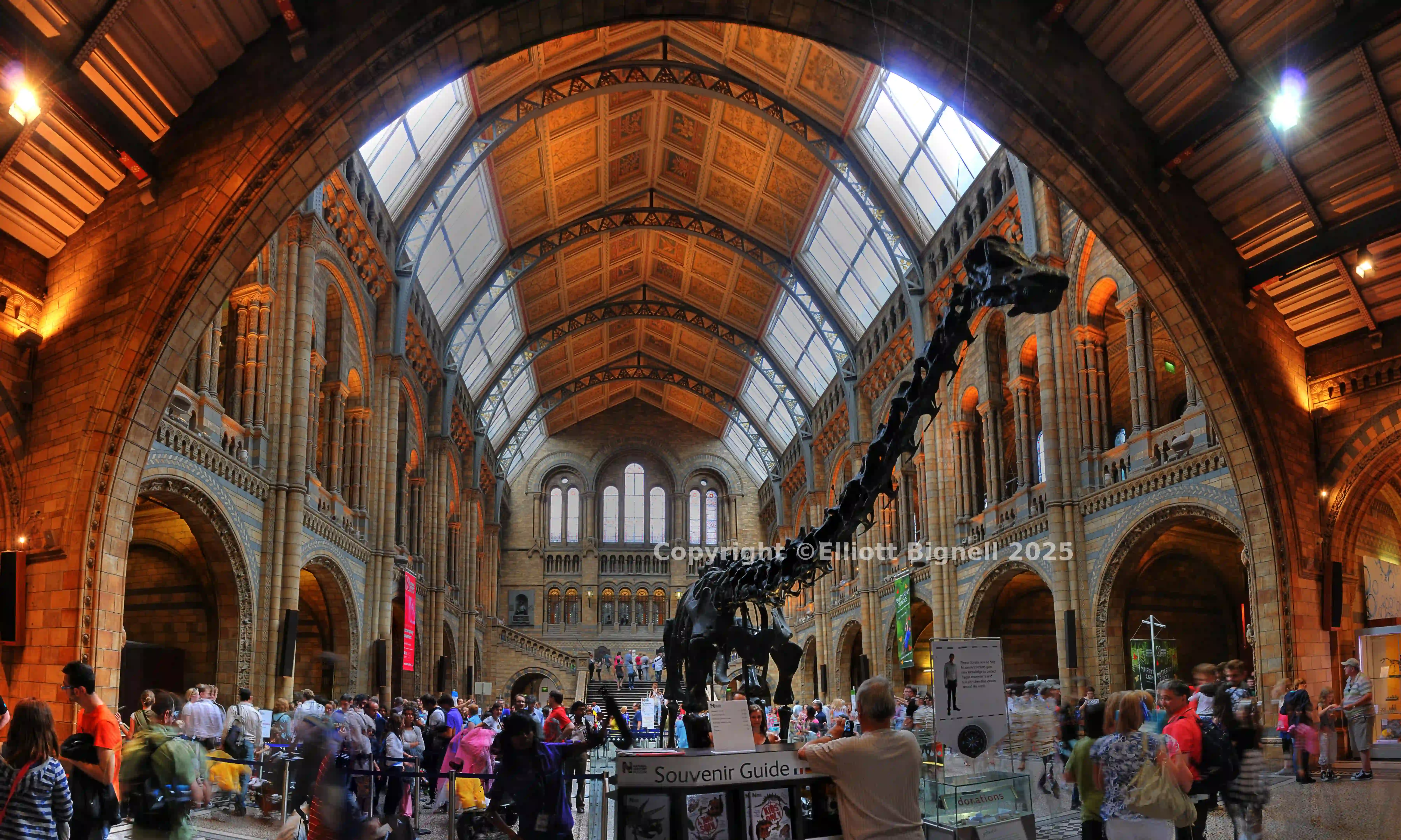 National History 1.jpg